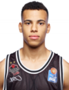 维切塔