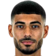 施韦因富特