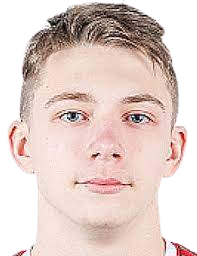 苏维埃之翼